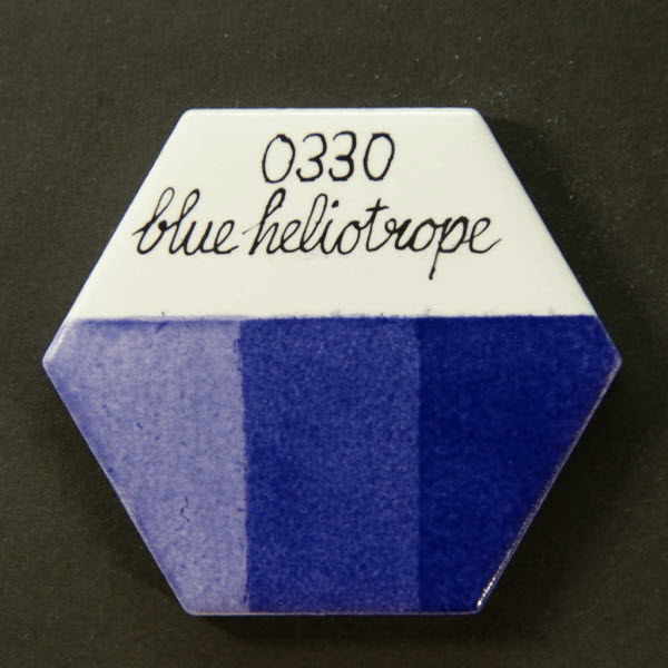 Blue heliotrope 