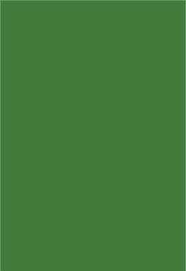 Colour sheet A4 - Chrome green