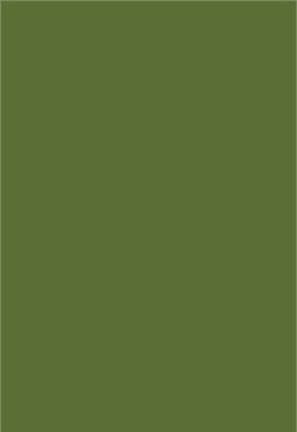 Colour sheet A4 - Held antique green