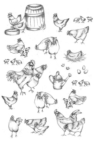 Soft line drawings (A4) - hens & cockerels